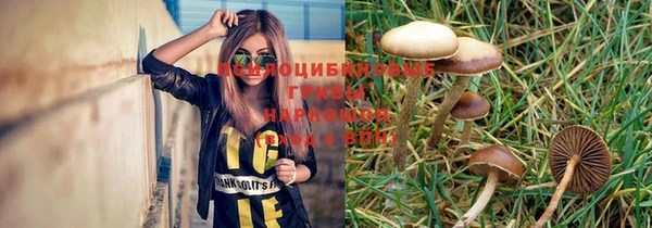 винт Арсеньев