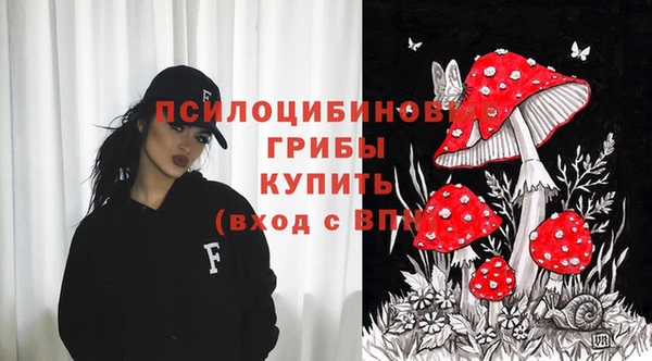 винт Арсеньев